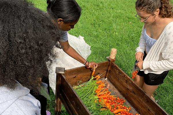 UNC Charlotte Niner Academy Summer Programming